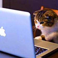 はやしとかずちゃんの思いっきり通信