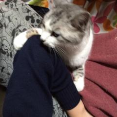 EDM、パチンコ、スロット好きな人話しましょうよ！！