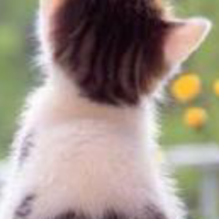 のんたん( ´艸｀)