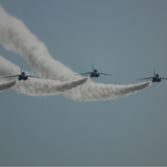 浜松周辺呑み仲間募集しまーすヽ(*´∀｀)ノ