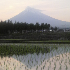 大好きしりとり!!