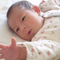 よっ、来たな