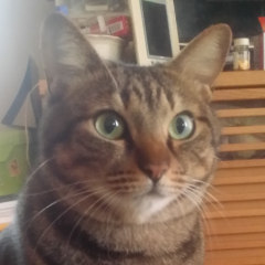 うんぬぱぱのトーク