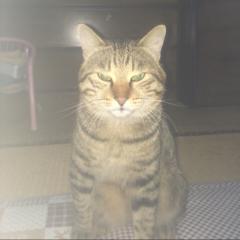 あきちゃん🍒