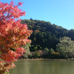 きまきまのトーク