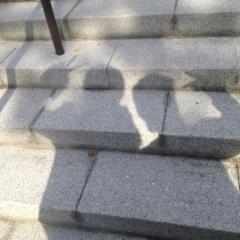 夜に、しゃべった りしてくれる人