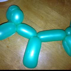 犬写メたまに…