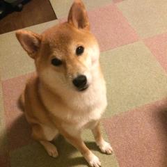 みそラーメンマンのトーク