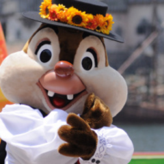 デルー好きな人 集まって下さい！！