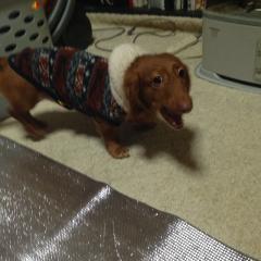 かわいいでしょ(*^^*)