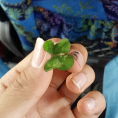 おもろい軍団つくろーぜ