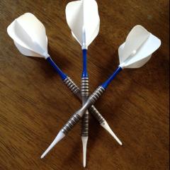 愛知ダーツ＼(^o^)／