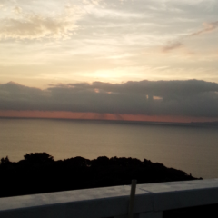 わさーのトーク