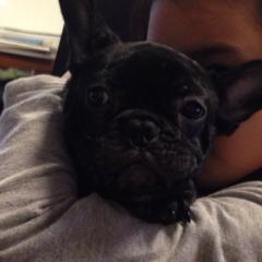 ゆあ       さちかのトーク