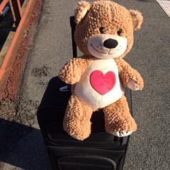 セクマイ★相談