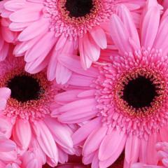 まっこのトーク