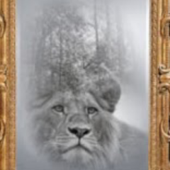 タキマサのトーク