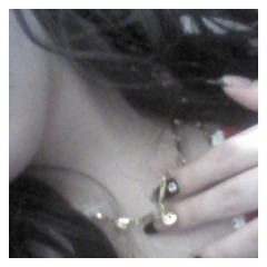 ましゅまろのペット探し