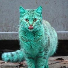 俺のマインクラフトPEを評価してくれ。（俺のマイクラ）