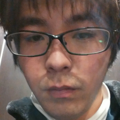 智矢