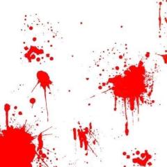 とっとと走れよハム太郎@BiS元研究員