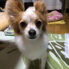 雄ちゃん