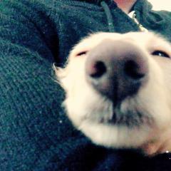 トプ画採点(´ε｀ )♥辛口みんな来てね