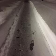 青森人集まれい！