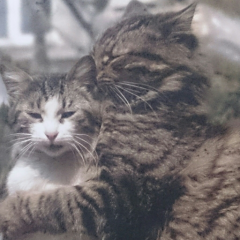 うっちー