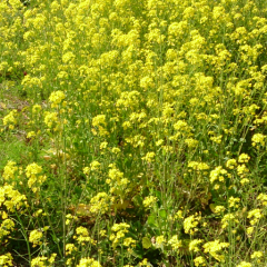 退屈で～す！ 話しましょう！