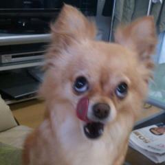 755恥ずかしい奴ら特集！！