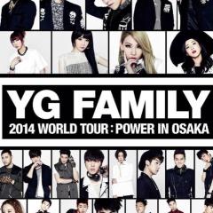 YG