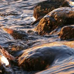 スマホでプロ写真家ですが質問ありますか？