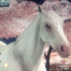 スタホ好きかもん（≧∇≦）