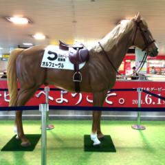 競馬好きな人‼︎