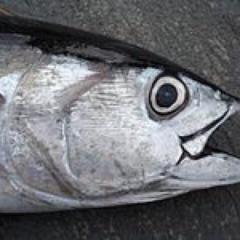 サンシャイン池崎