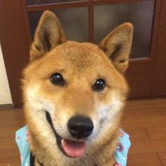 ぐっちゃんのトーク