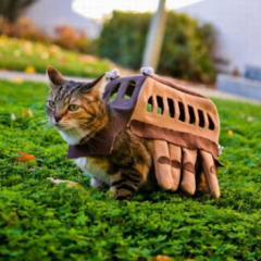 アニメや歌い手さんなど！