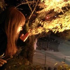 のんちゃん
