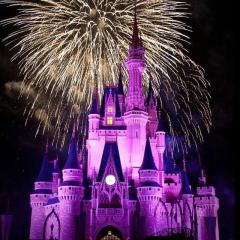 ディズニーランド好きな人あつまれー！