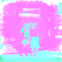 20歳まで[壁]‥)　ﾁﾗｯ