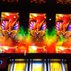 ｱﾅｻﾞｰｺﾞｯﾄﾞ