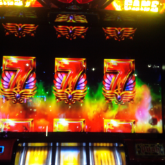 ｱﾅｻﾞｰｺﾞｯﾄﾞﾊｰﾃﾞｽ