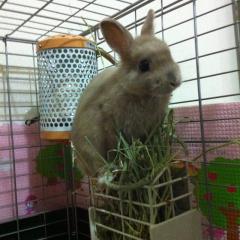 かっちゃんのトーク