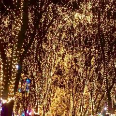 仙台の彼女居るの？