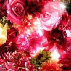 とりみの備忘録