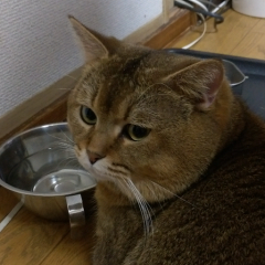 暇な人、しゃべりましょう。