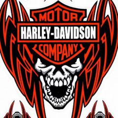 チョイワルオヤジだよ