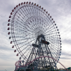 チュウピー☆彡