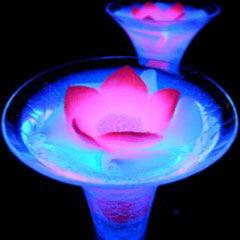 飼い主様とペットのお部屋oO